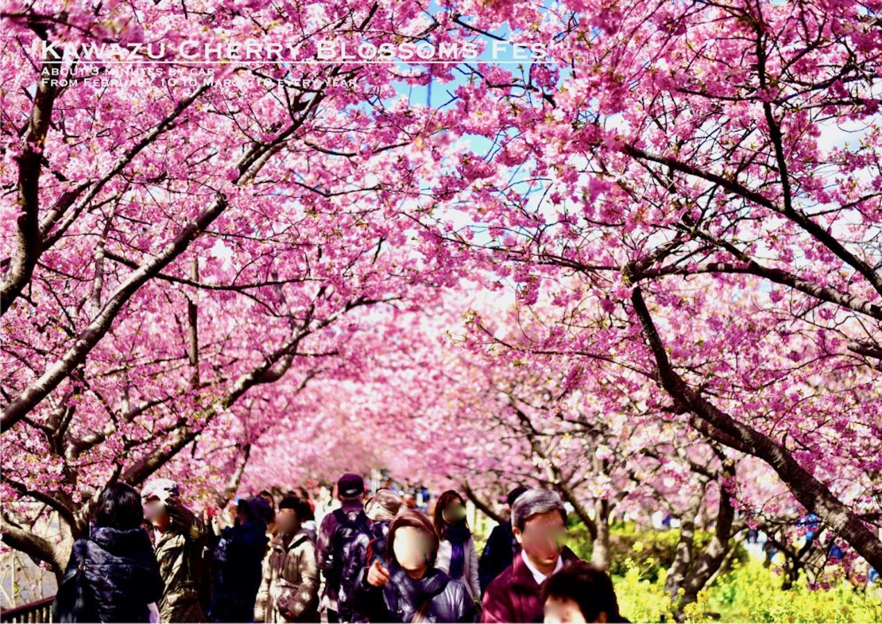 河津ログハウス 河津町 エクステリア 写真